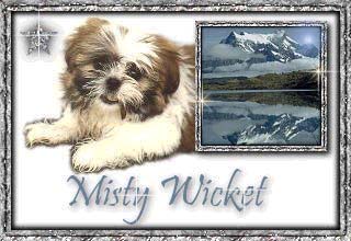 mistywicket.jpg